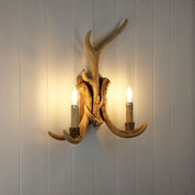 HYORT Wall Light - Deer Antler Designer Wall Light