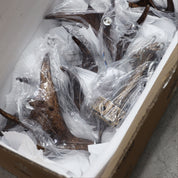 RAMURE.6 PENDANT - Deer Antler Designer Pendant