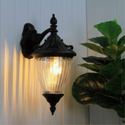 NEWARK DOWN - Traditional Outdoor Wall Light