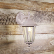 ASCOT DOWN WHITE - Traditional Outdoor Wall Light