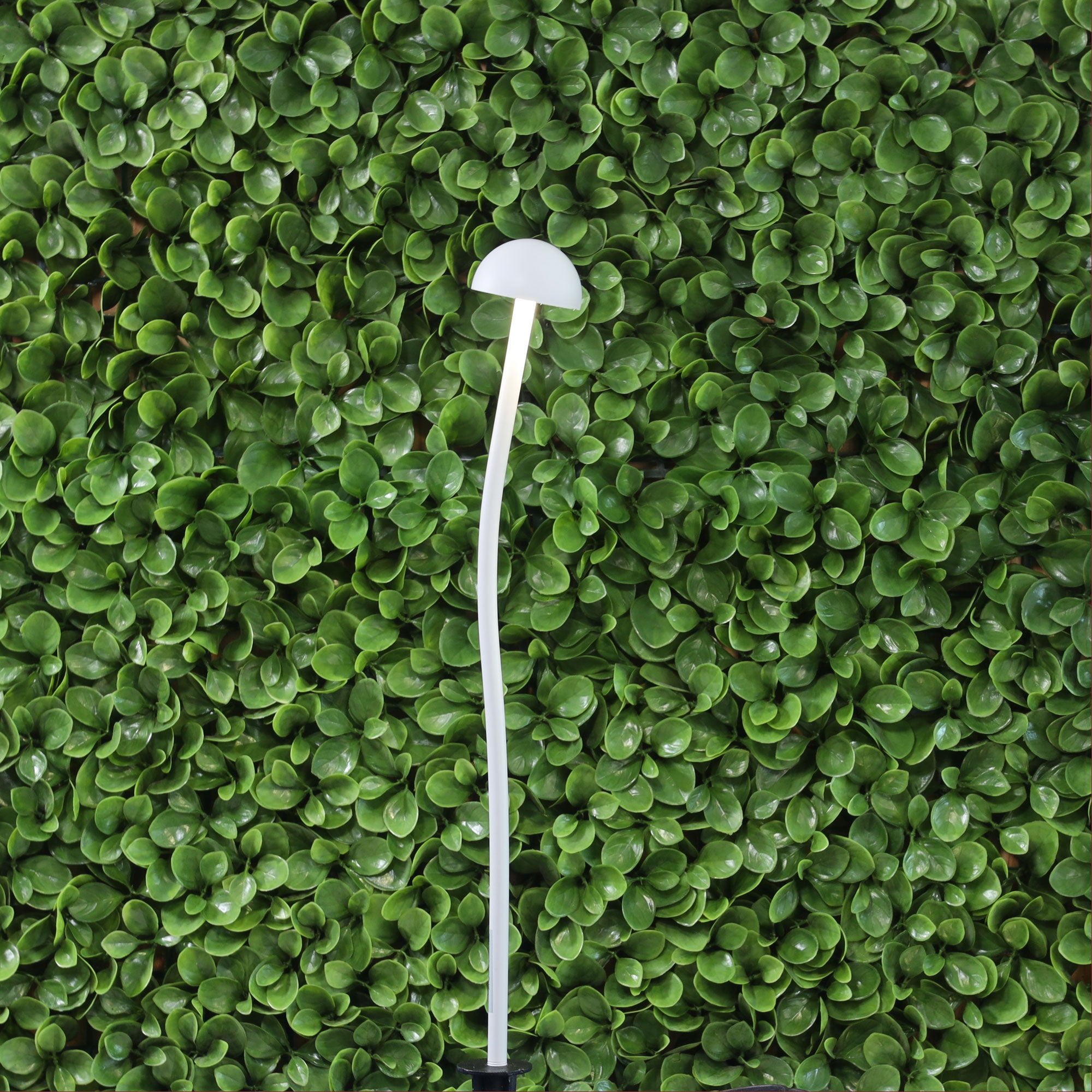 ENOKI.1 - 12V DIY Garden Light