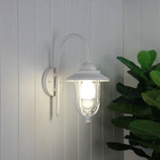 DOMO White - Contemporary Coach Light