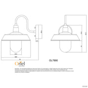 HUDSON BLACK - Barn Style Wall Light