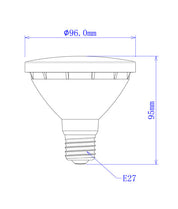 PAR30 LED Globe (10W)