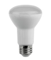R63 & R80 LED Globes