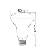 R63 & R80 LED Globes