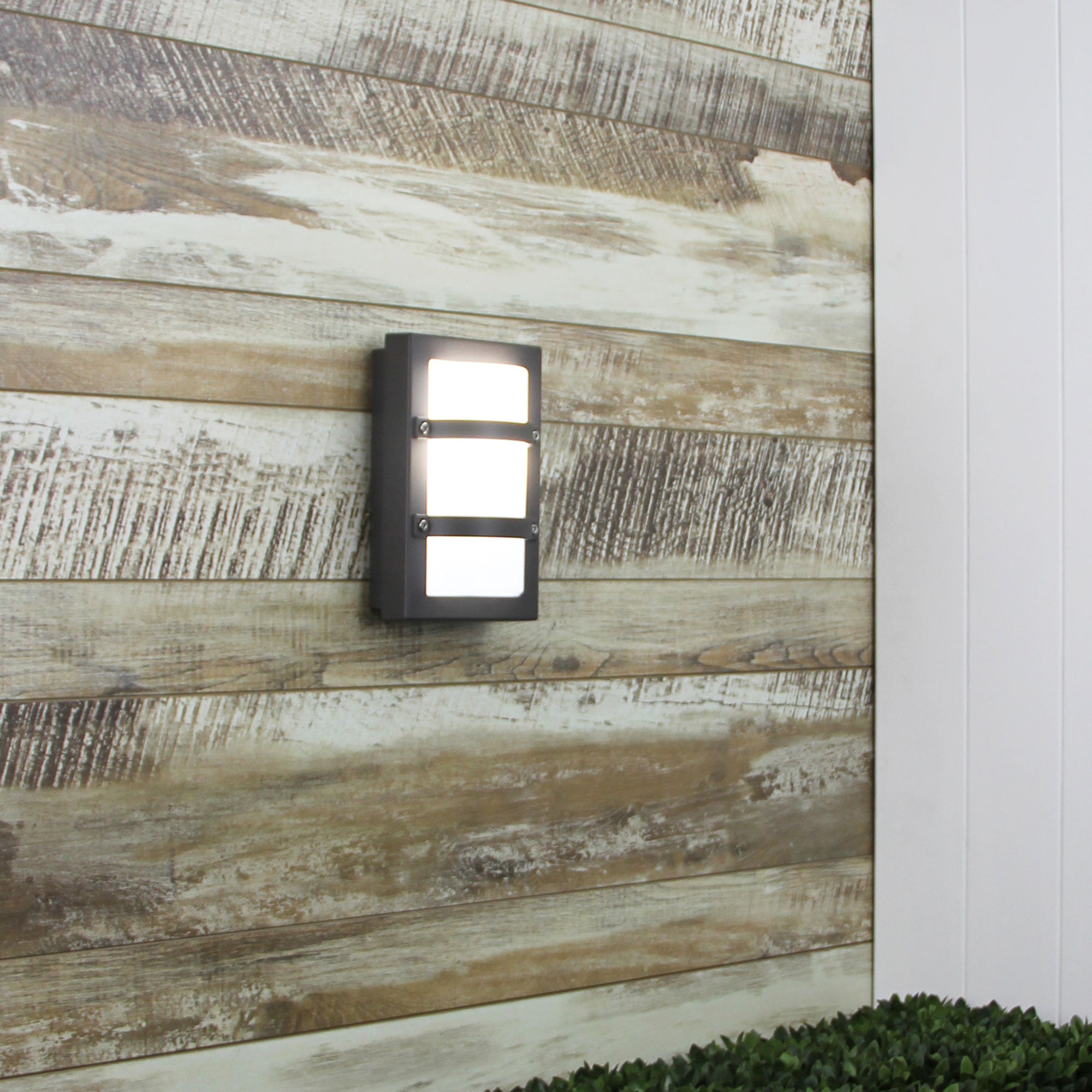 TRIO MINI Graphite - IP65 Premium Outdoor Bulkhead