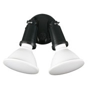 Starlight Exterior Wall 2 Lights Black Plastic 3 CCT