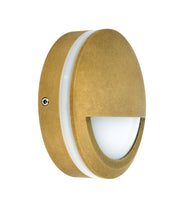 STE: Exterior LED 12V/240V Antique Brass Eyelid/Round Step/Wall Lights IP65