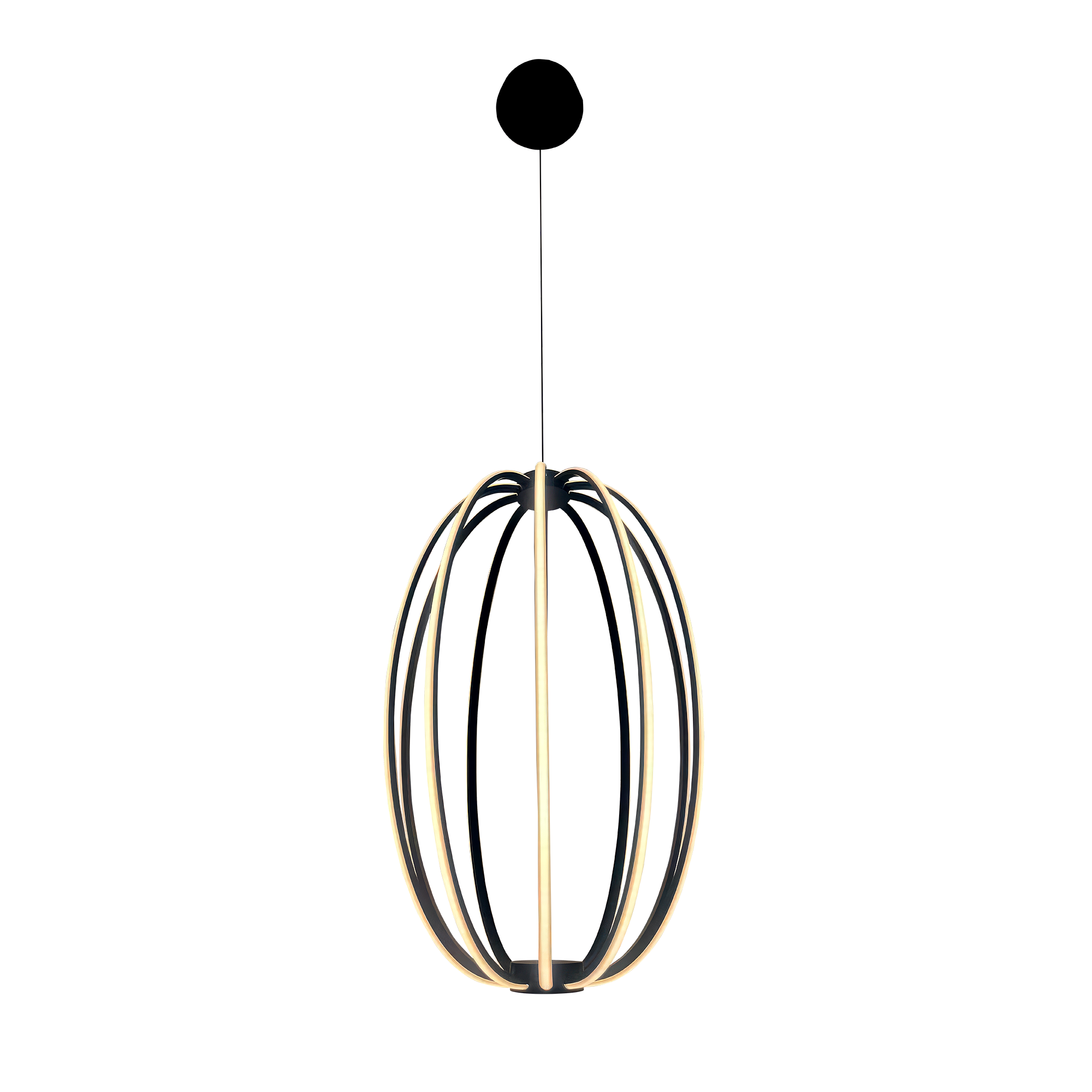 Stellar Oval LED Pendant Light in Black