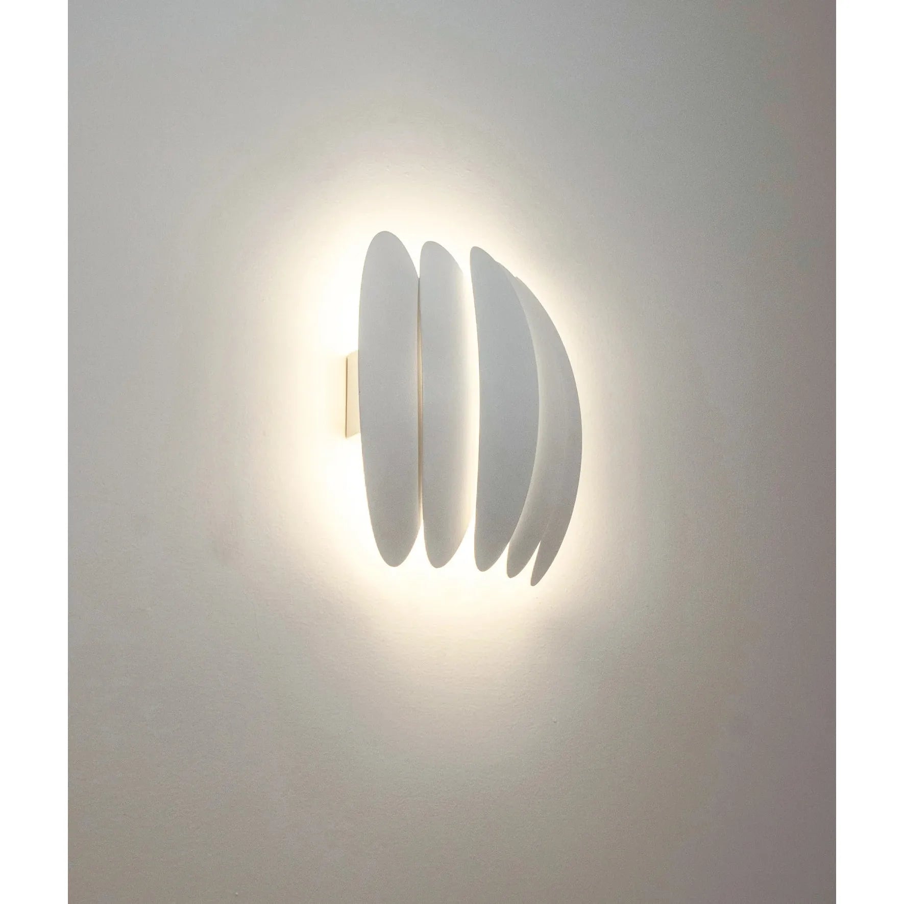 TIJUANA_LIGHTON_02_jpg.webp