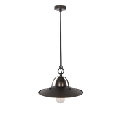 Benson Pendant Light Small, Large in Copper Wash, Gold Leaf, Charred or Weathered Iron