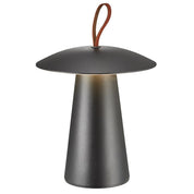 Ara To-Go 2 LED Battery Table Lamp White, Black, Sanded