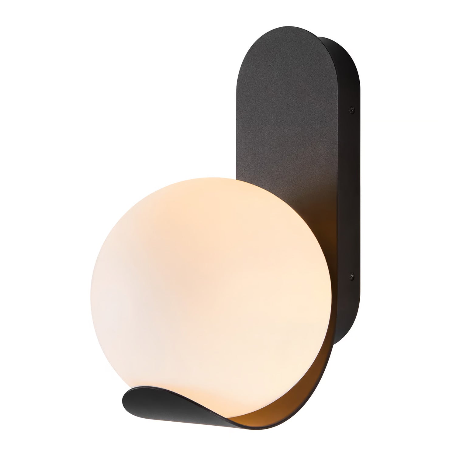 Dalius Outdoor Wall Light in Black