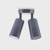 Havit Lighting Tivah Solid Brass Graphite Coloured TRI Colour Double Adjustable Wall Pillar Lights