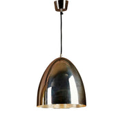 Egg 1 Light Pendant Silver