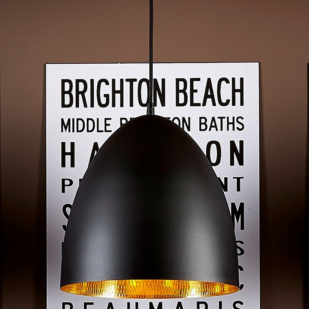 Egg 1 Light Pendant Black Brass
