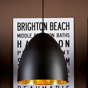 Egg 1 Light Pendant Black Brass