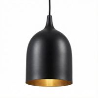 Lumi-R 1 Light Pendant Black Label Silver
