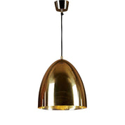 Egg 1 Light Pendant Brass