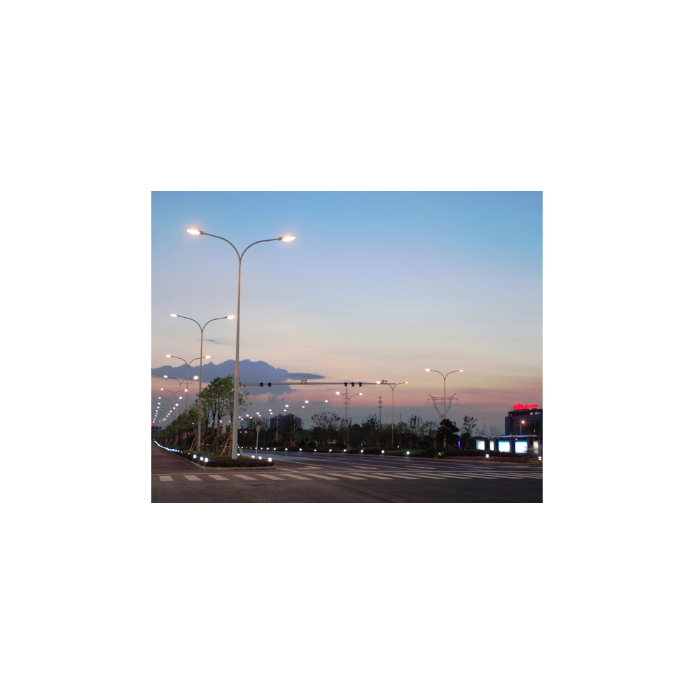 DRIVE SHP306 LED Street Light Black 30W 5000K IP66