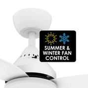 SAL Augusta 52 SACF11/52/4 52" 1362mm 54W AC Ceiling Fan Four Blades